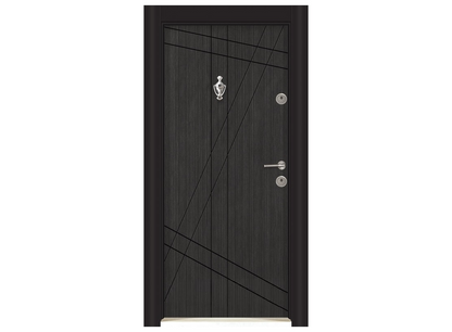 Porte blindée Parkdoor -SL211- 9233 (L.:900mm ; H.:2000mm)