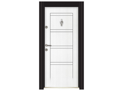 Porte blindée Parkdoor -SL102- 9235 (L.:900mm ; H.:2000mm)